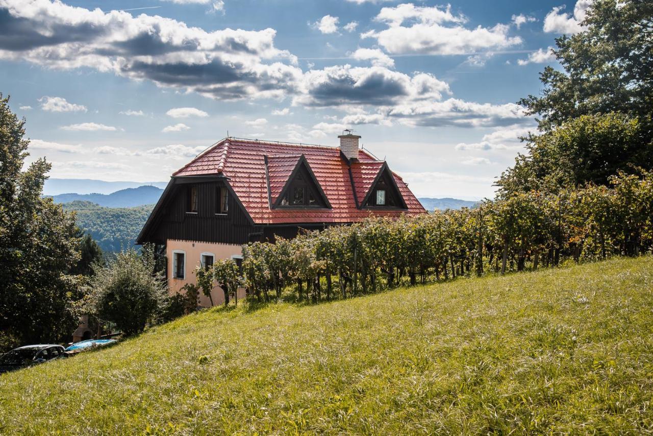 Authentic Countryside Villa With Hot Tub Veliki Kamen Exterior foto